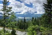 from a nature drive in the hills above Revelstoke