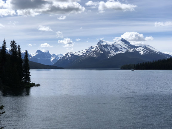 Jasper
