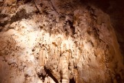 IMG 4978