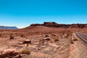 IMG 4542