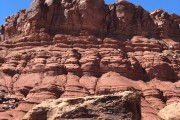 IMG 4547