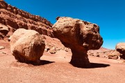 IMG 4549