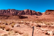 IMG 4564