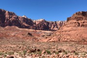 IMG 4565