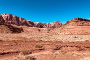 IMG 4567