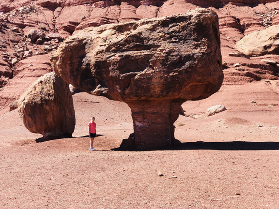 Marble Canyon
