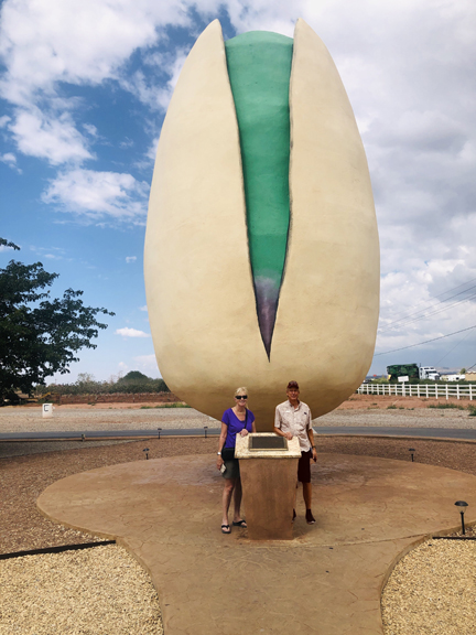 Giant Pistachio