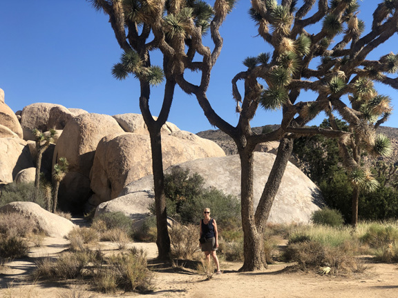 Joshua Tree National Park