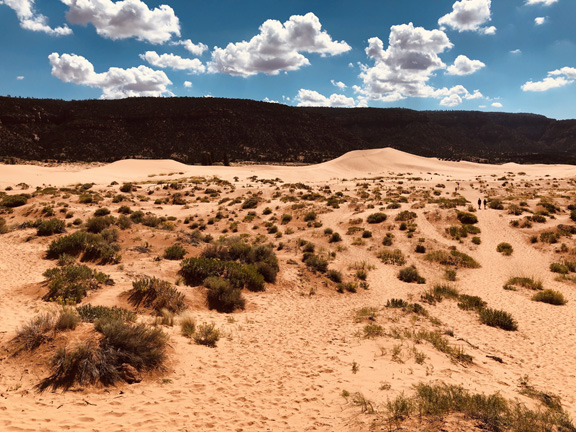 Coral Pink Sand Dunes State Park