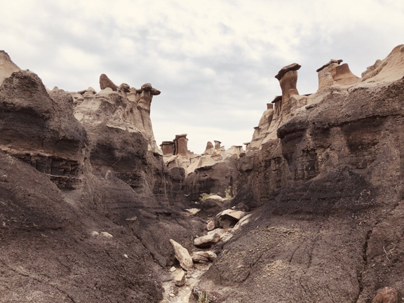 Bisti Badlands
