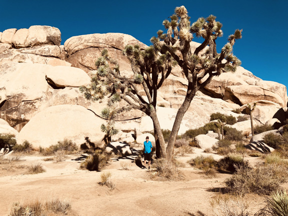 Joshua Tree National Park