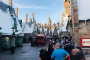 IMG 3190