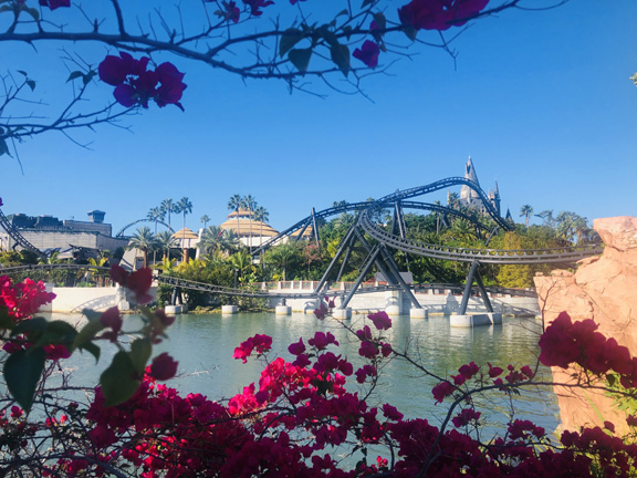 Universal