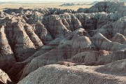IMG 0271