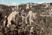 IMG 0298