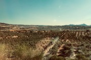 IMG 8858
