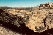 IMG 8892