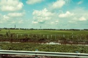 IMG 0348