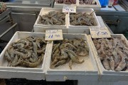 Fish Market