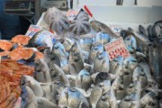 Fish Market