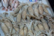Fish Market