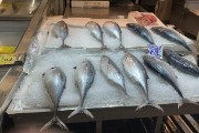 Fish Market
