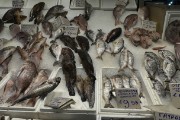 Fish Market
