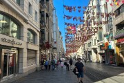 IMG 2575-59
