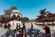 IMG 4656-84