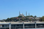 IMG 2592-1