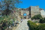 IMG 2481-106