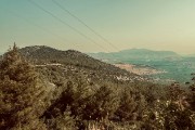 IMG 4384-16