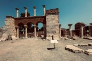 IMG 4504-81