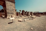 IMG 4505-82