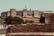 IMG 4523-102