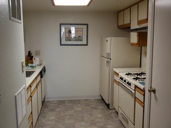 P8300018.JPG - Kitchen