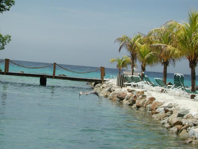 DSCN6657.JPG - on private beach island, pelican on feeding run....