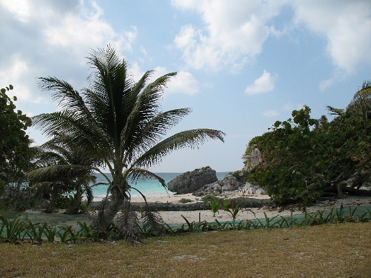 IMG_0037.JPG - beach at the edge of the ruins