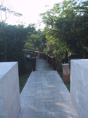 IMG_0398.JPG - Path to the Adult Pool, through the Jungle --- LOTS of jungle pathway..