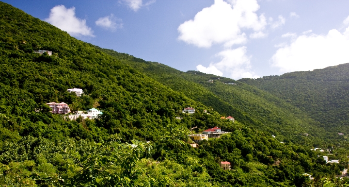 IMG_8337.jpg - Hills of Tortola
