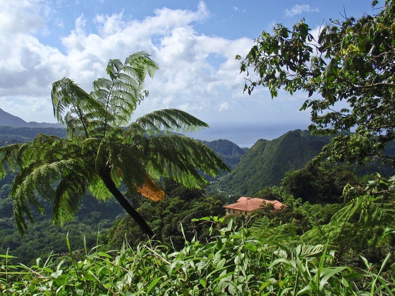 PC080065-29.jpg - View from an overlook on the island of Dominica