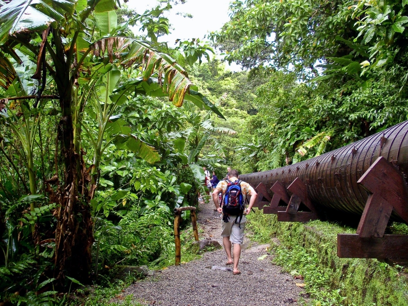 PC080071-31.jpg - on tour on Dominica