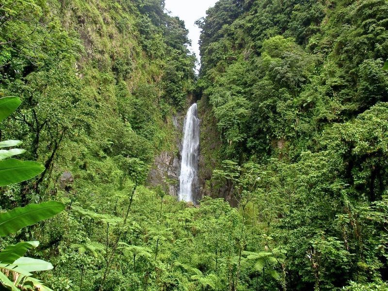PC080082-36.jpg - waterfalls on Dominica