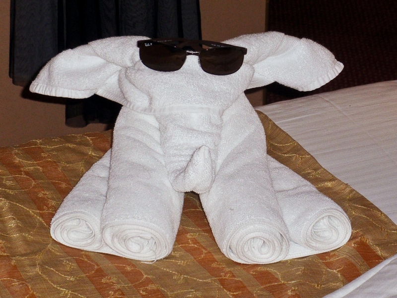 PC100122-53.jpg - Towel art