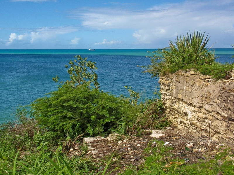 PC100137-71.jpg - Antigua