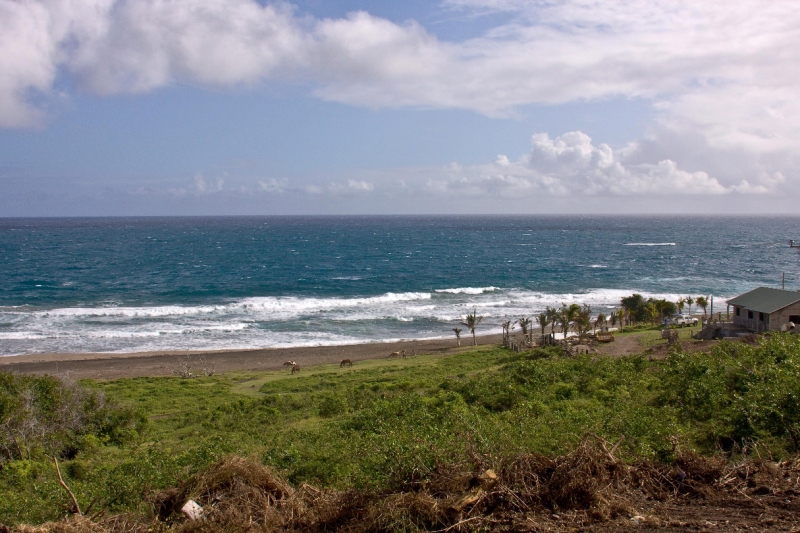 _MG_4007-77.jpg - View from St Kitts Sugarcane train