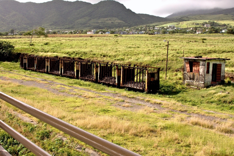 _MG_4018-81.jpg - old sugar cane cars