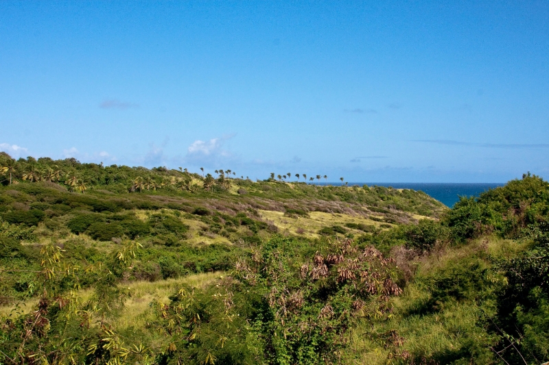 _MG_4054-90.jpg - View from St Kitts Sugarcane train