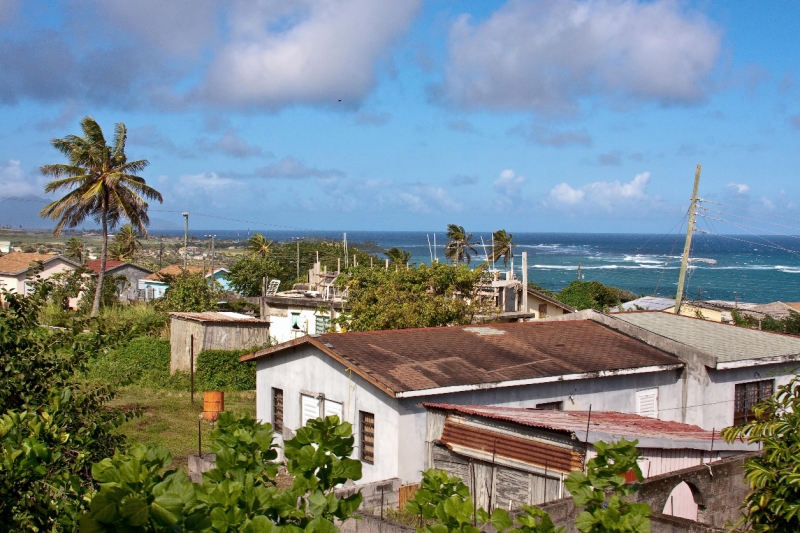 _MG_4124-103.jpg - View from St Kitts Sugarcane train