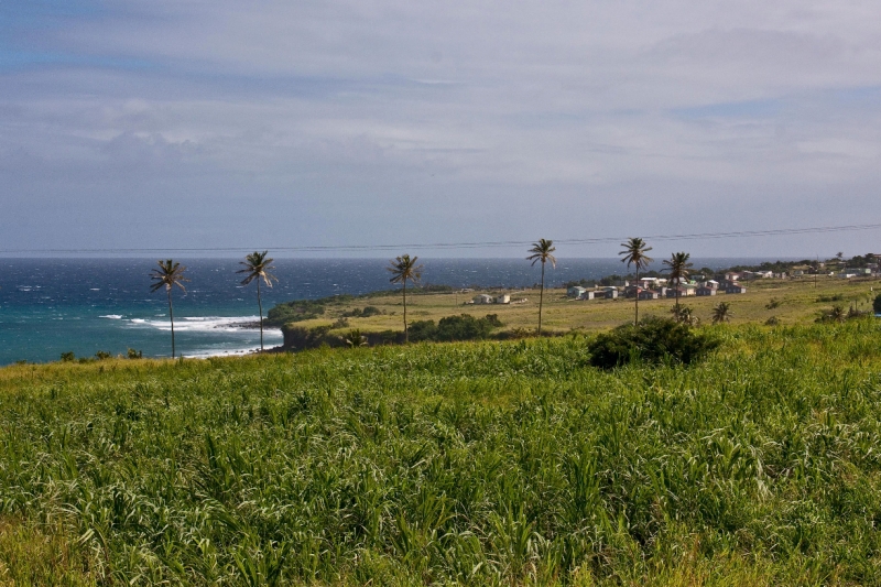 _MG_4139-108.jpg - View from St Kitts Sugarcane train